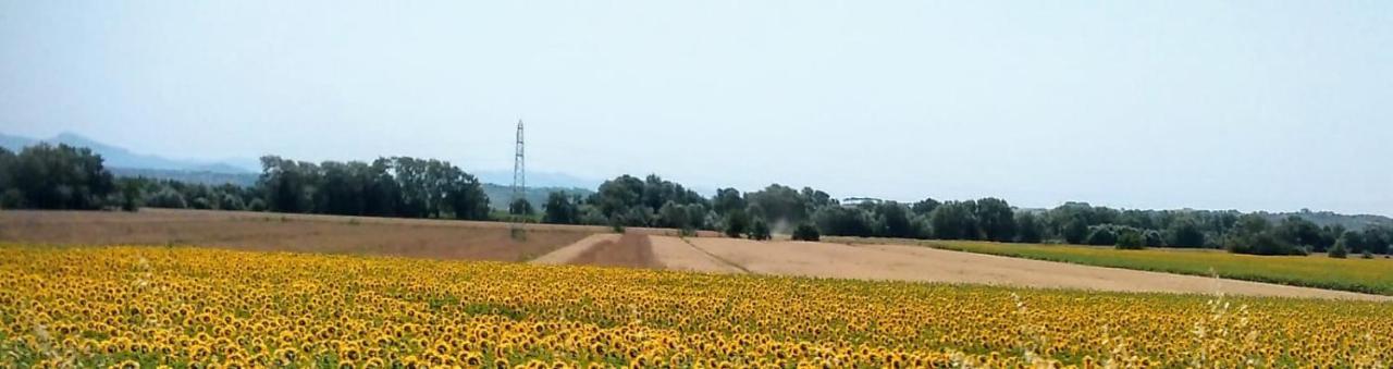 Splendido Ampio Appartamento A Montepulciano Luaran gambar