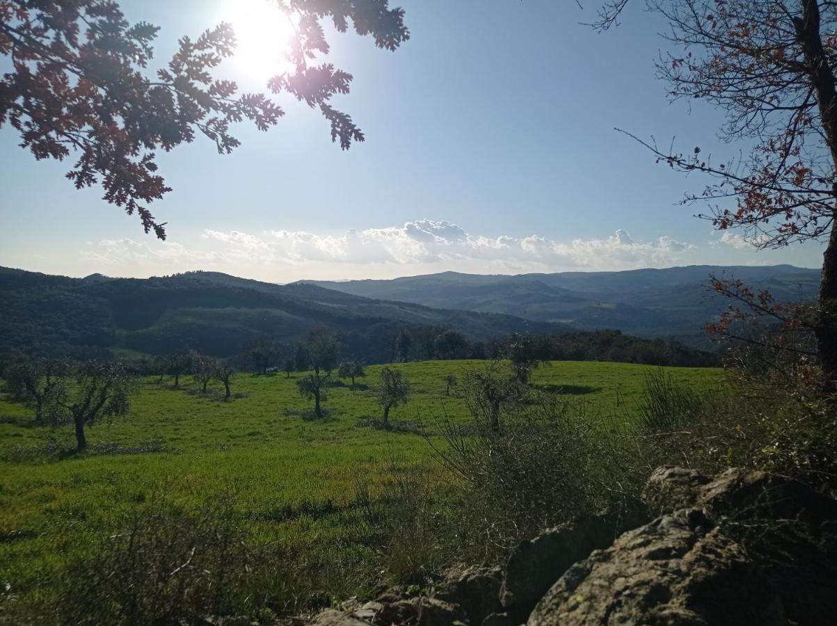 Splendido Ampio Appartamento A Montepulciano Luaran gambar