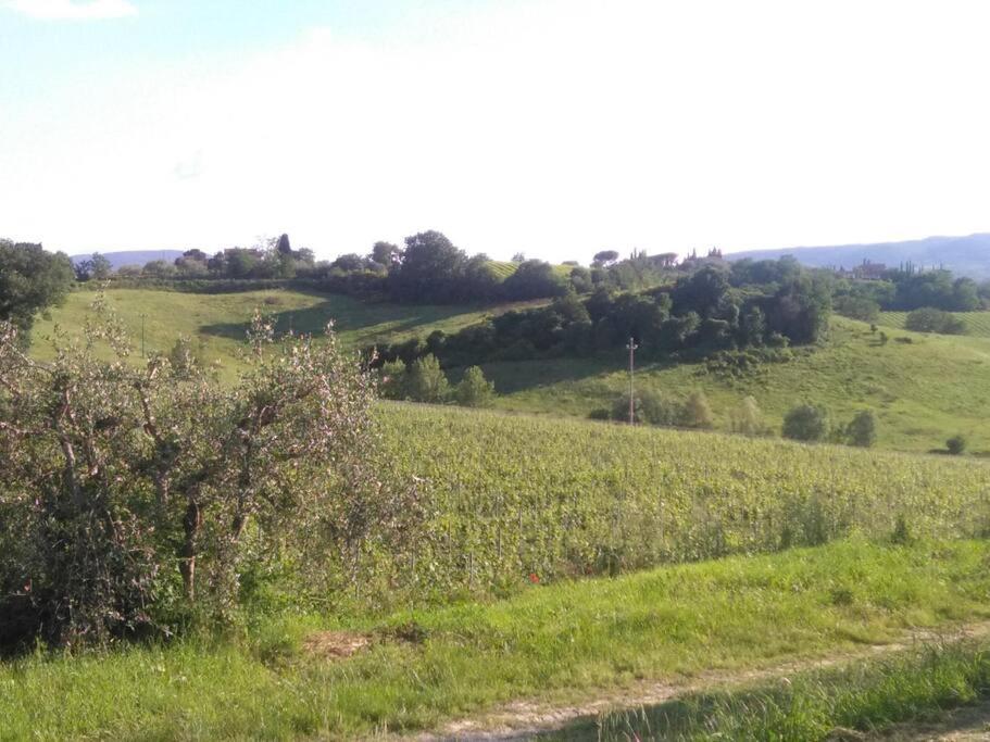 Splendido Ampio Appartamento A Montepulciano Luaran gambar