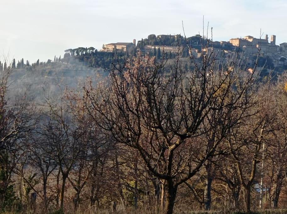 Splendido Ampio Appartamento A Montepulciano Luaran gambar